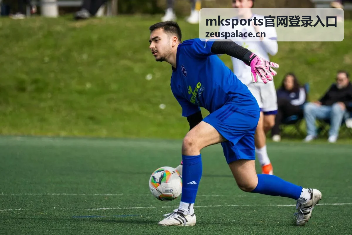 mksports官网登录入口访问指引图示
